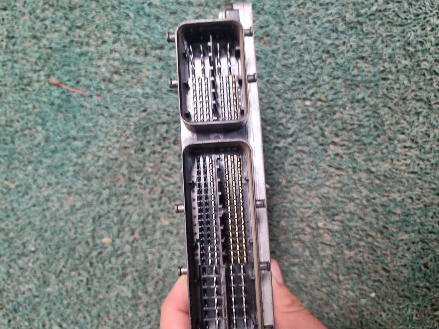 Cerebro Vitz 1KR D5