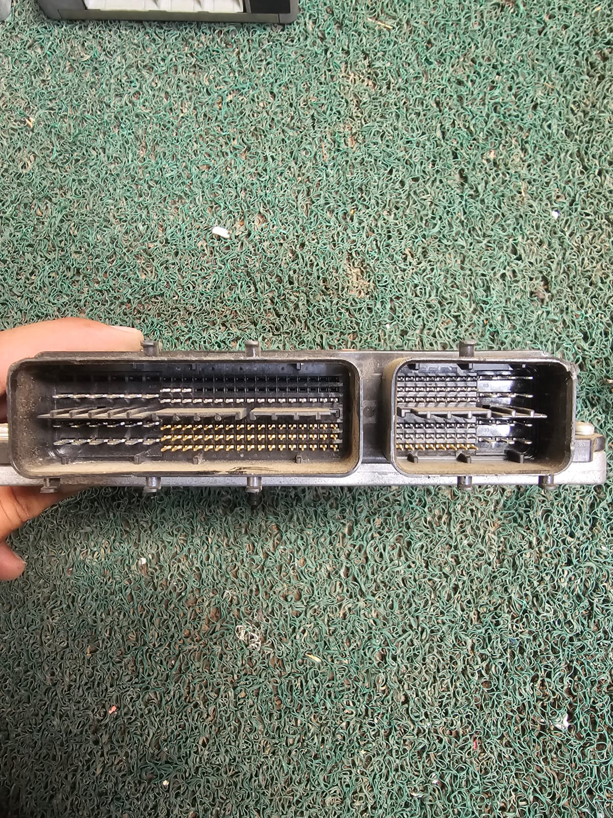 Cerebro Vitz 1KR 4R