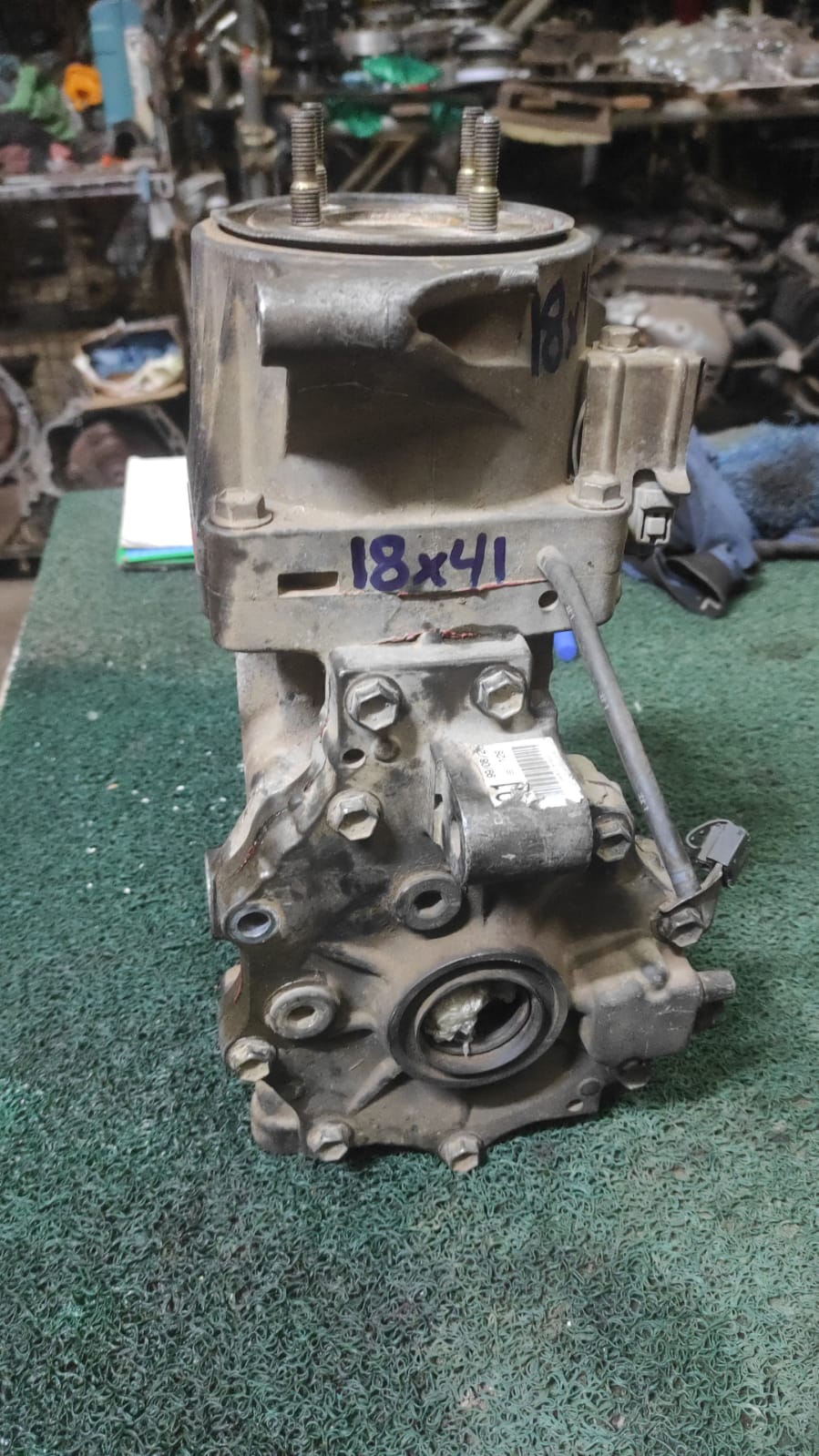 Corona trasera Toyota Ipsum - Isis 05