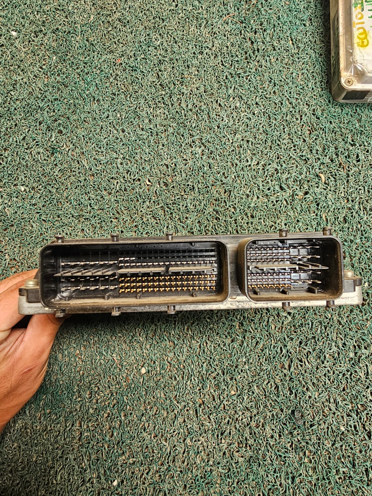 Cerebro Noah-Voxy 3ZR K1