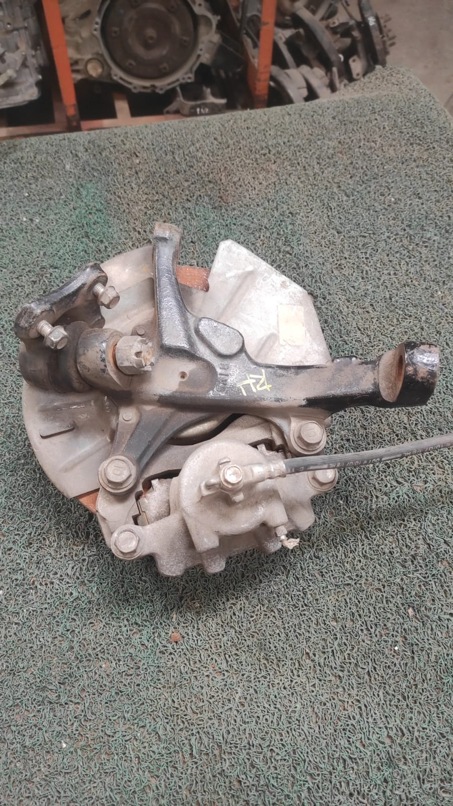 Par Macero Desconocido Trasero