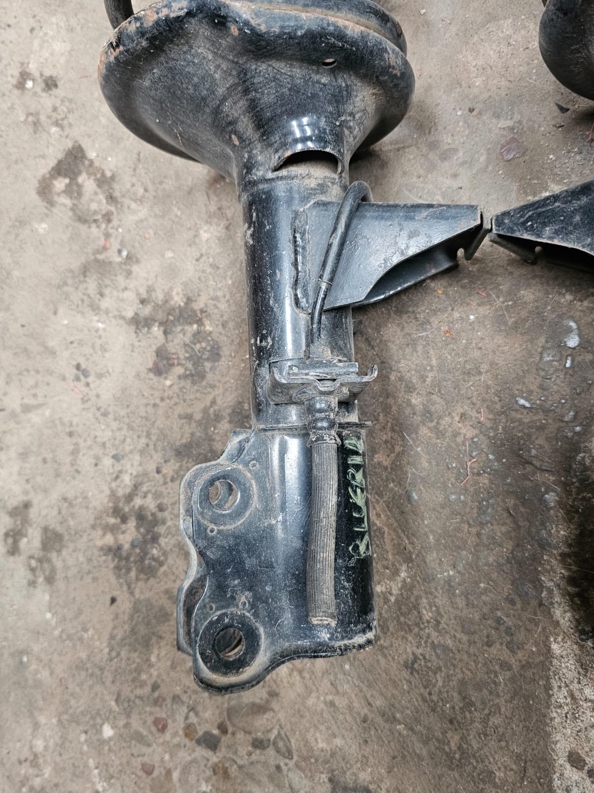 Suspension Delantera Bluebird