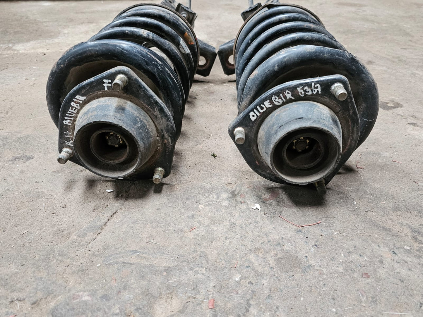 Suspension Delantera Bluebird