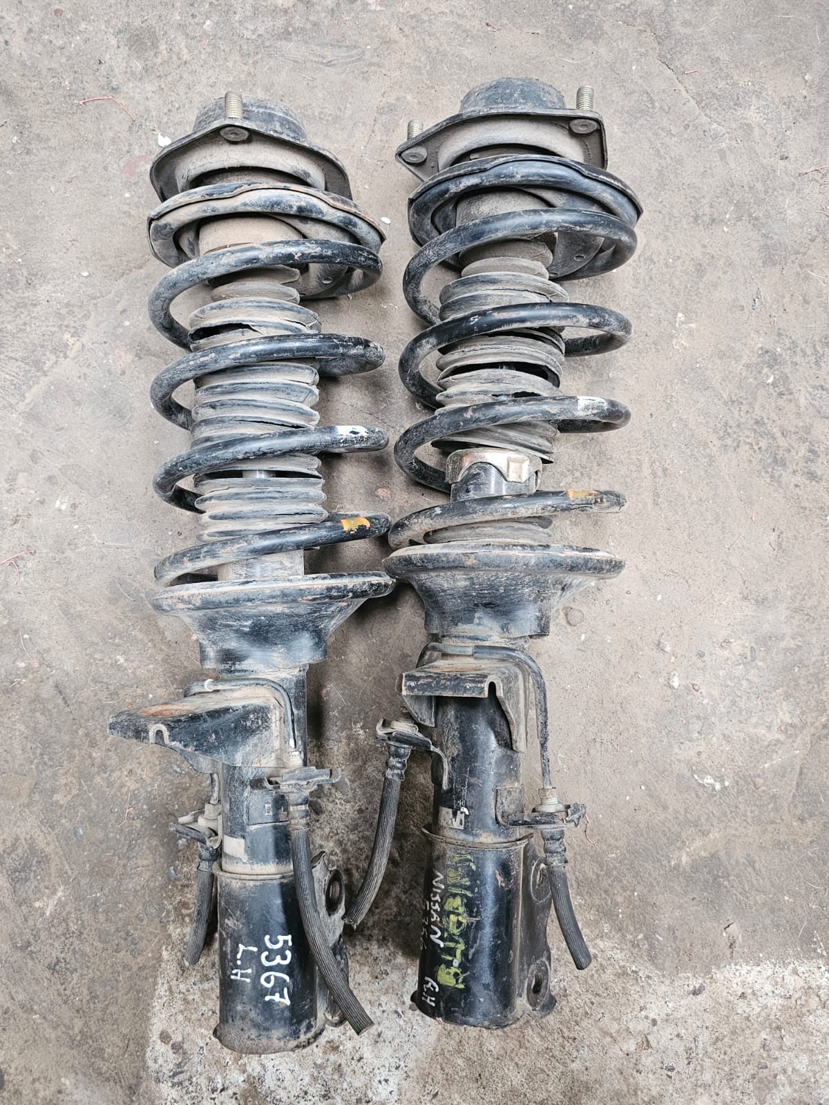Suspension Delantera Bluebird