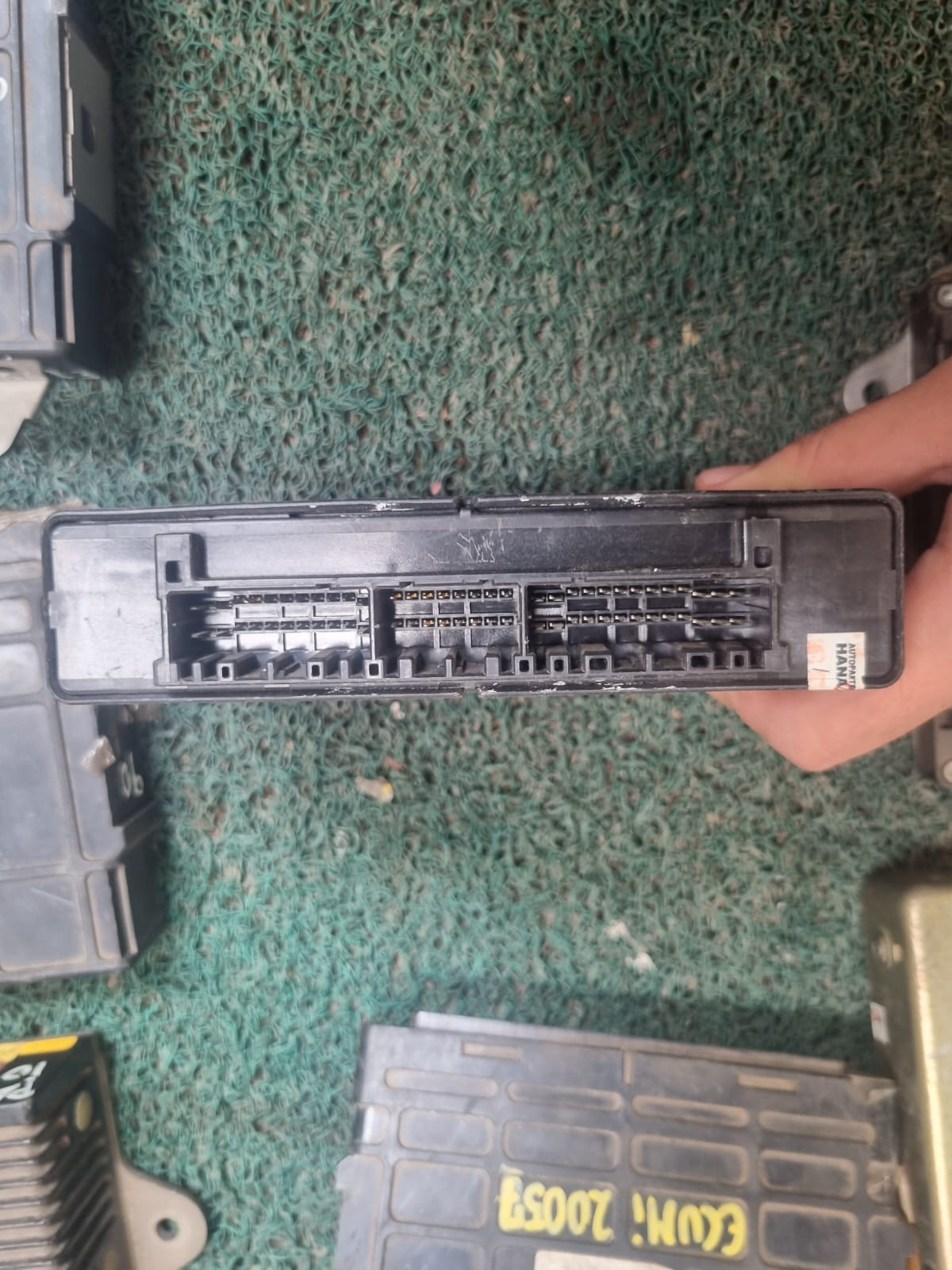 Cerebro CHALLENGER 6G74 MR357912