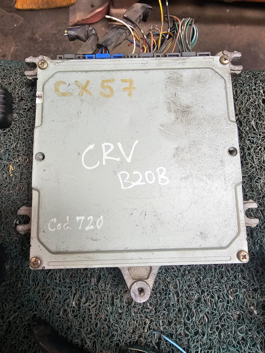 Cerebro Crv B20B 7J
