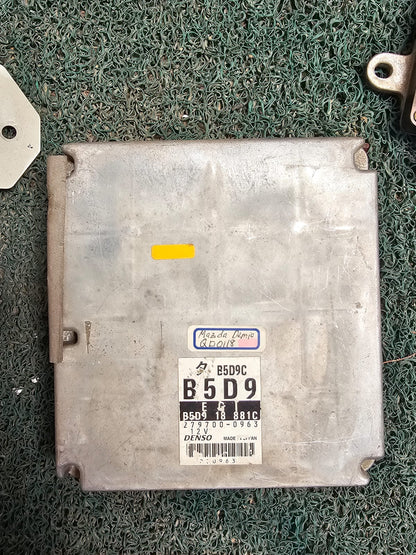 Cerebro Demio B5D9