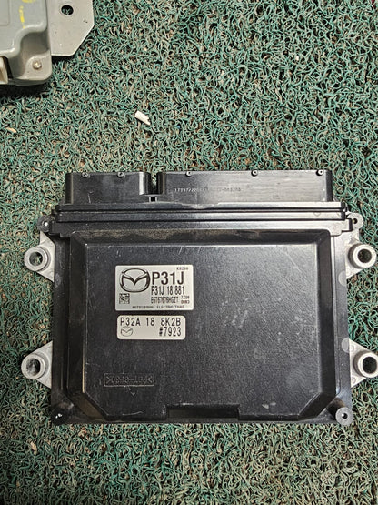 Cerebro Demio P31J