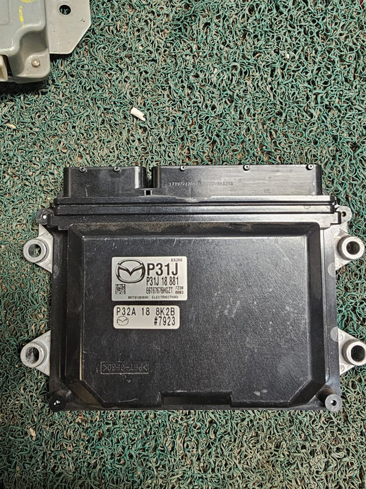 Cerebro Demio P31J