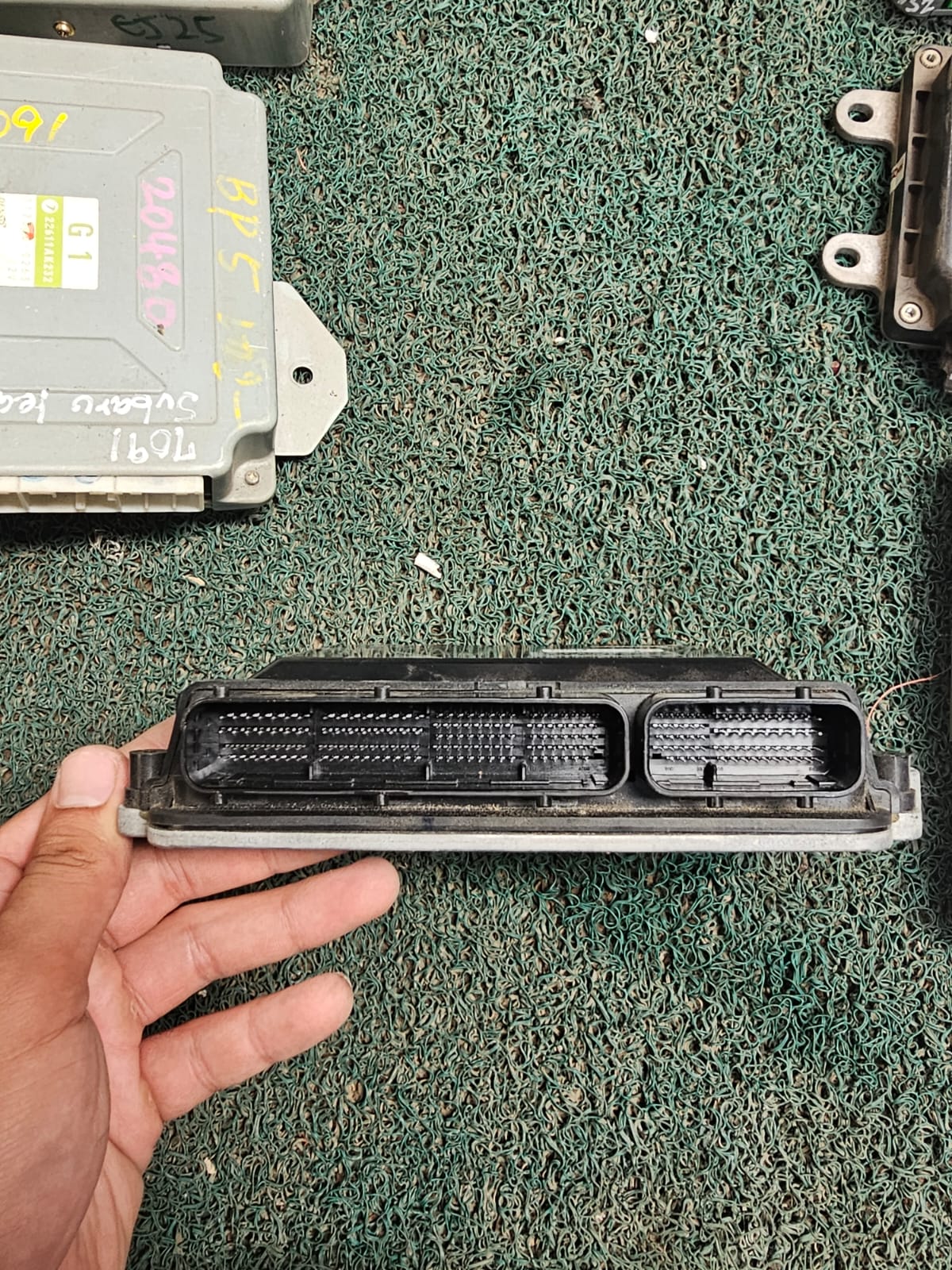 Cerebro Demio P31J