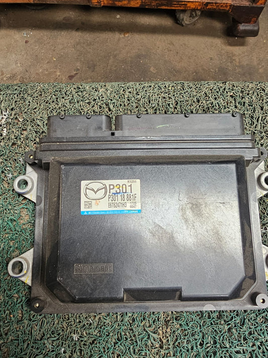 Cerebro DEMIO P301
