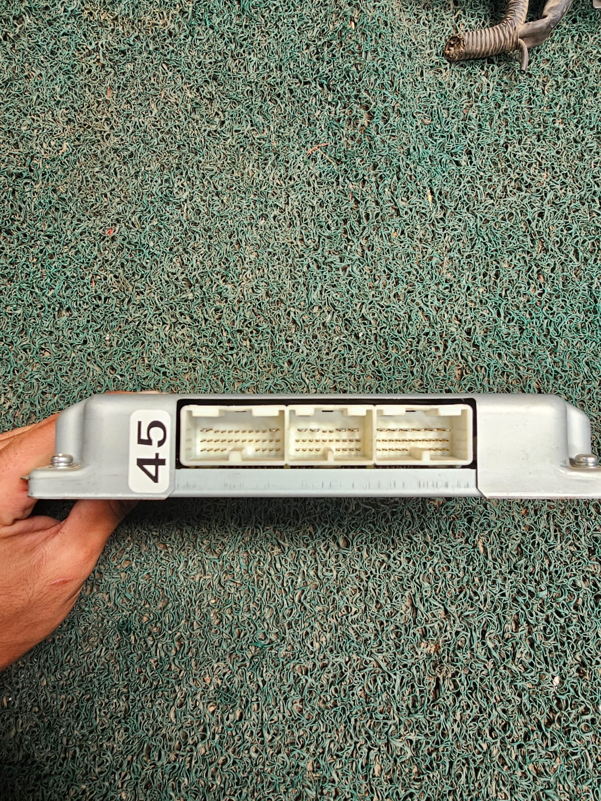 Cerebro Dyna 24V