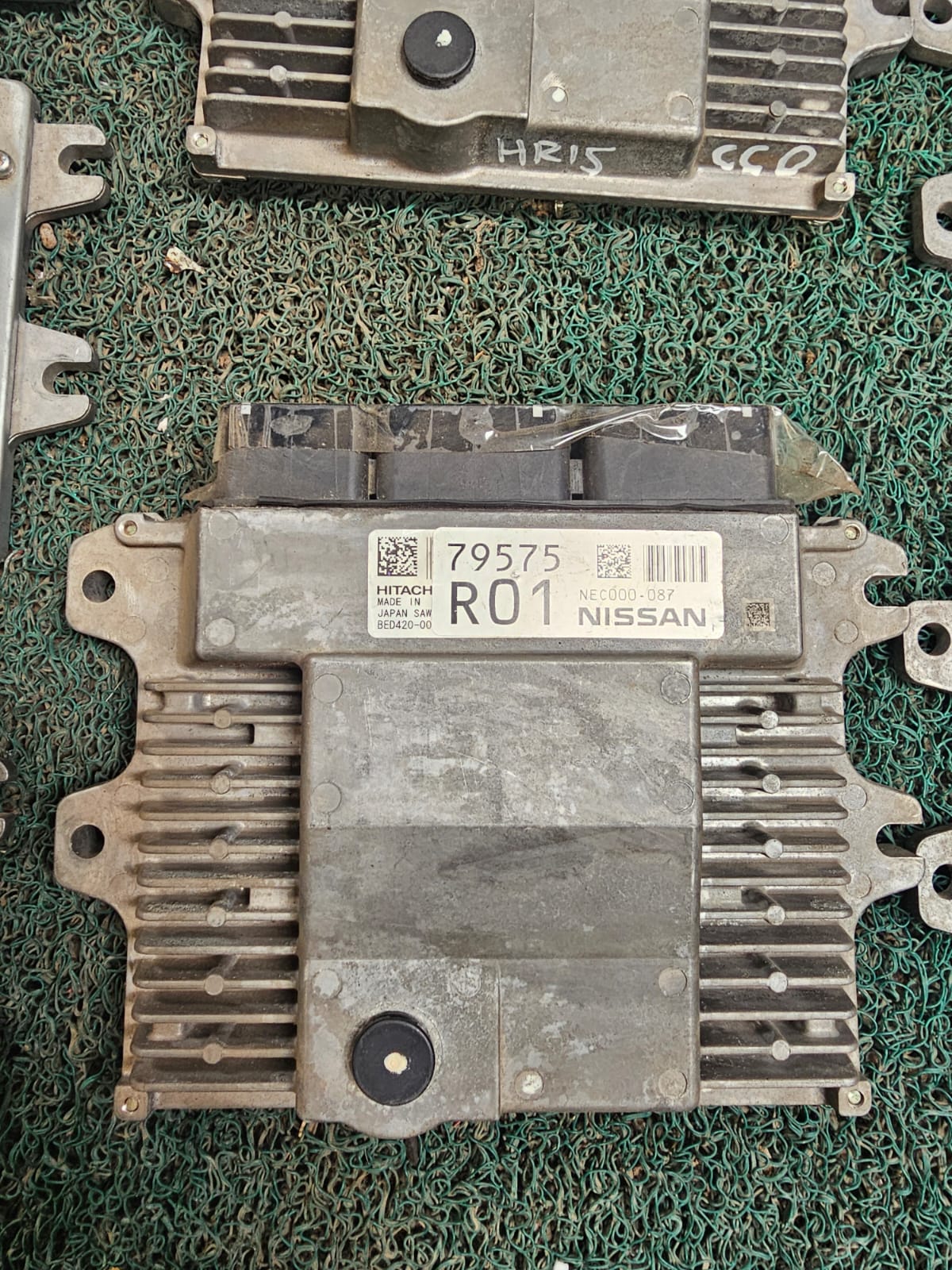 Cerebro NOTE R01