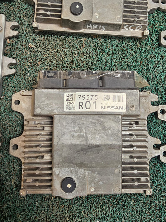 Cerebro NOTE R01