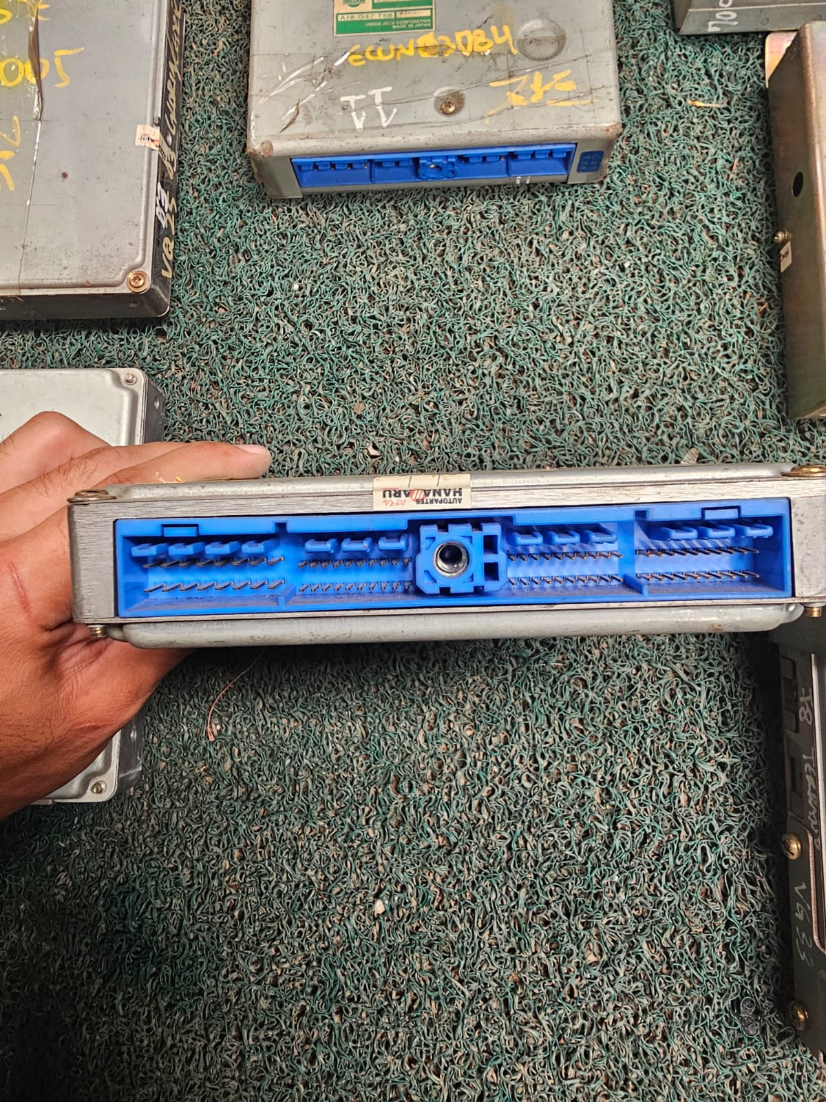 Cerebro Cedric VQ30 T8