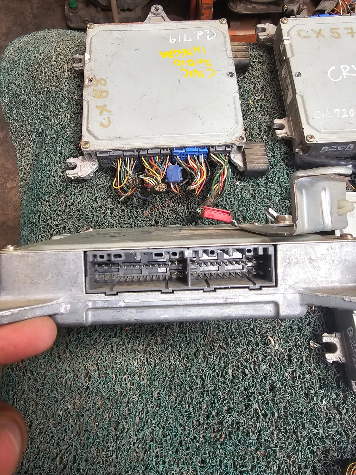 Cerebro Civic D15B MH