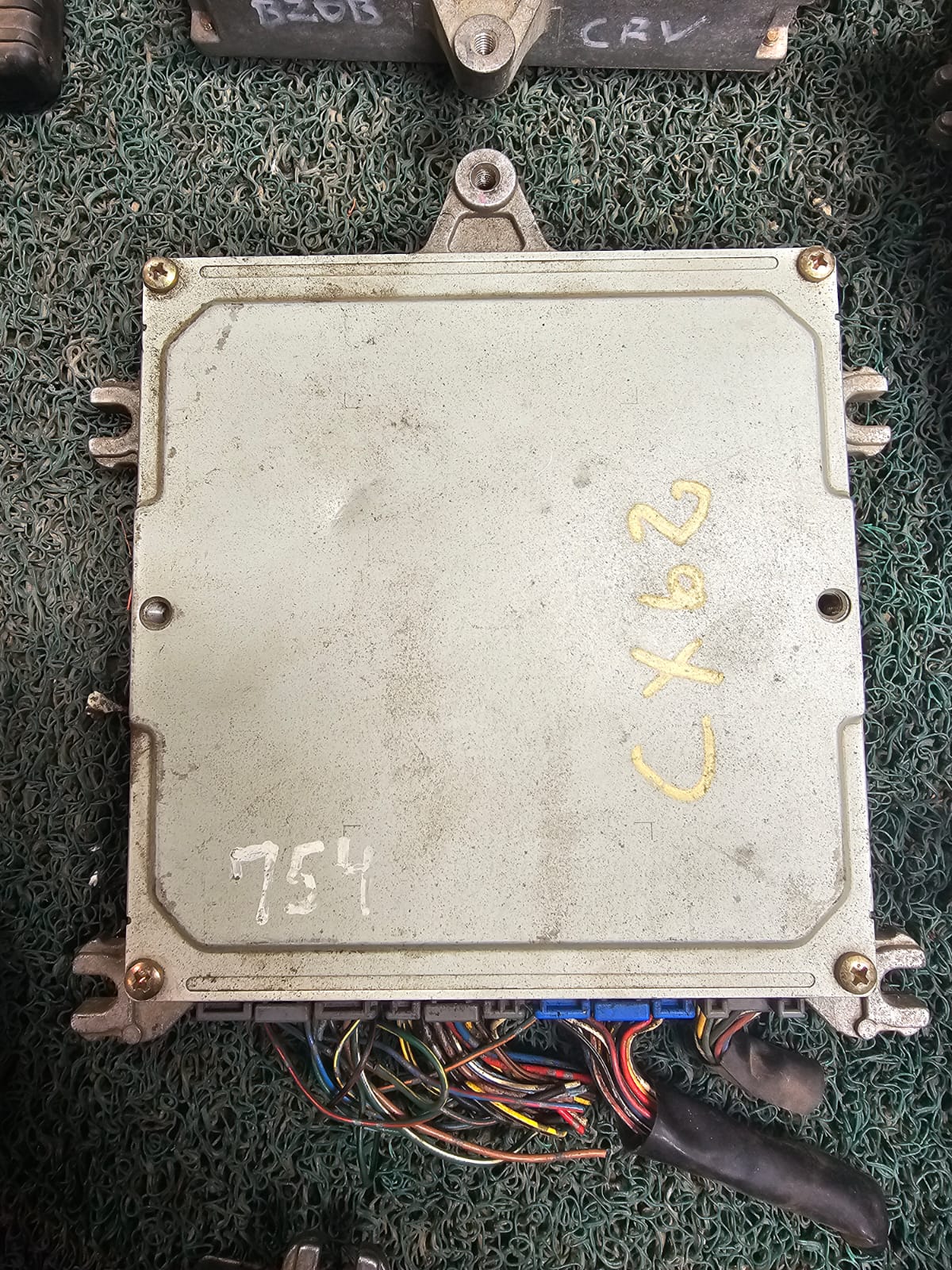 Cerebro CRV B20B 7H