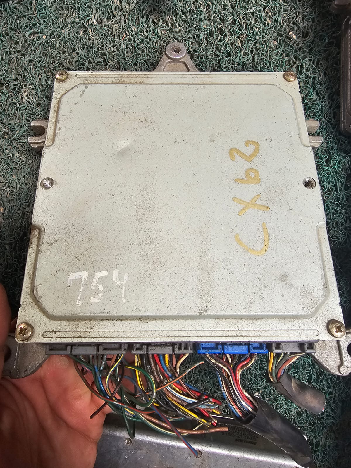Cerebro CRV B20B 7H