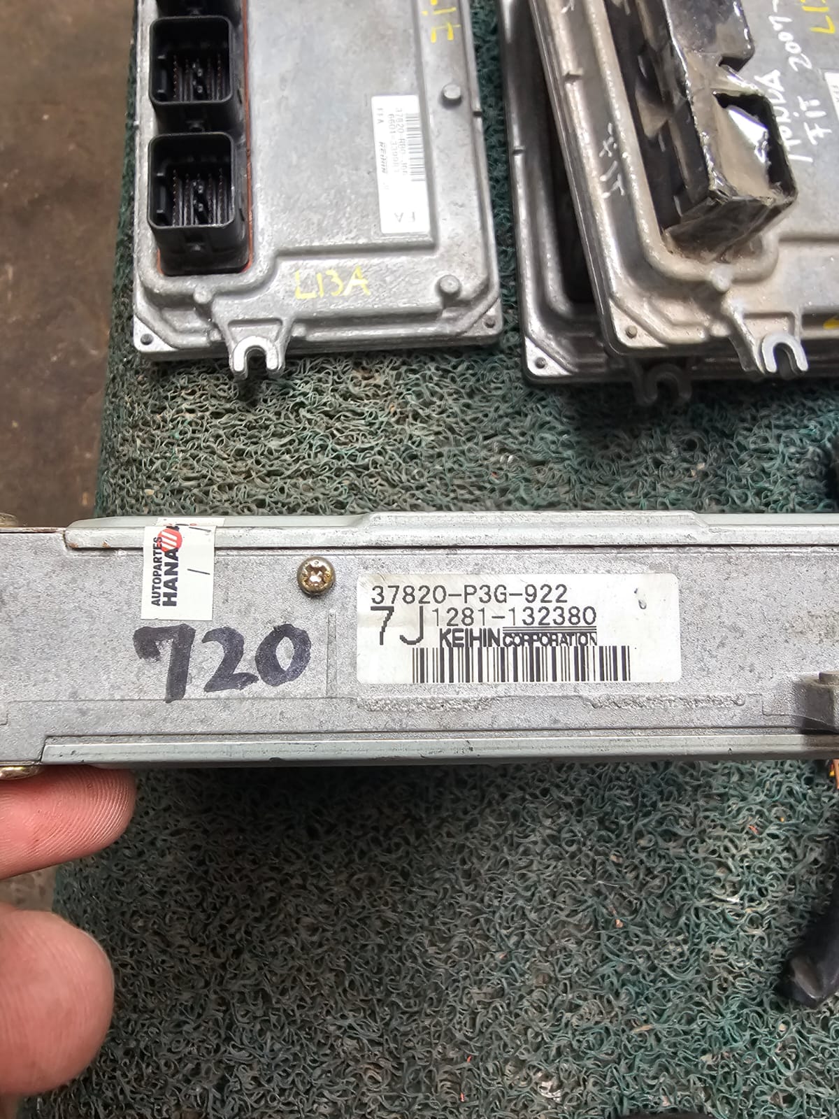 Cerebro Crv B20B 7J