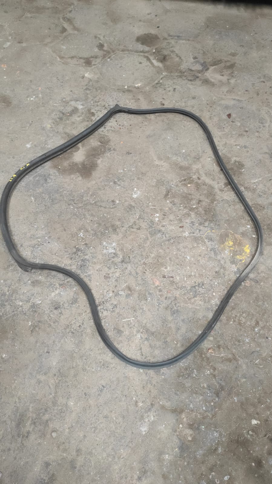 Goma de puertas traseras Lh Nissan march K12