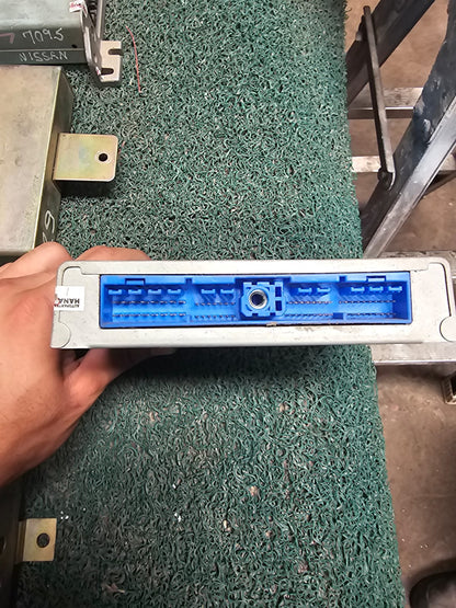 Cerebro Bluebird SR18