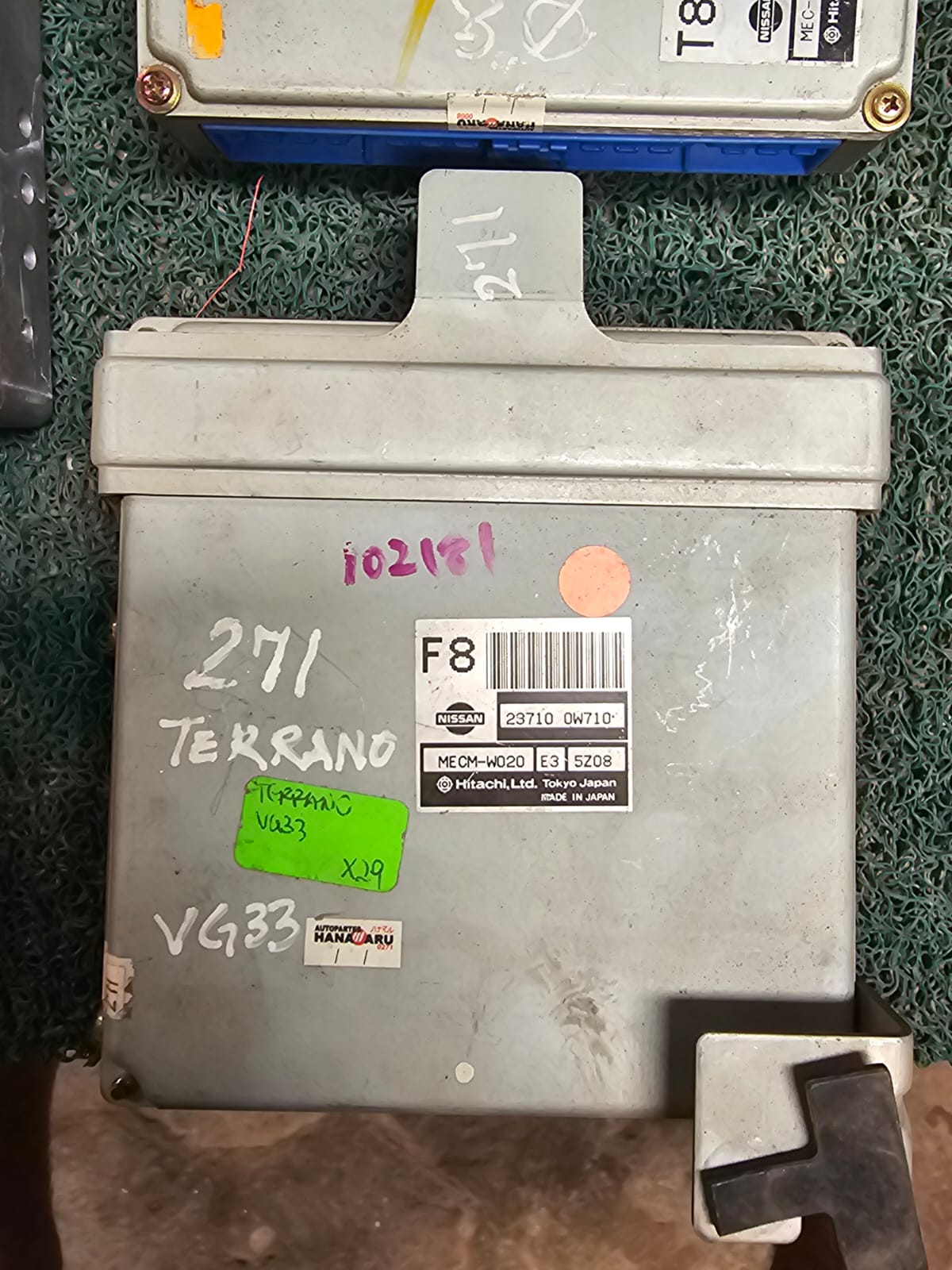 Cerebro Terrano VG33 F8