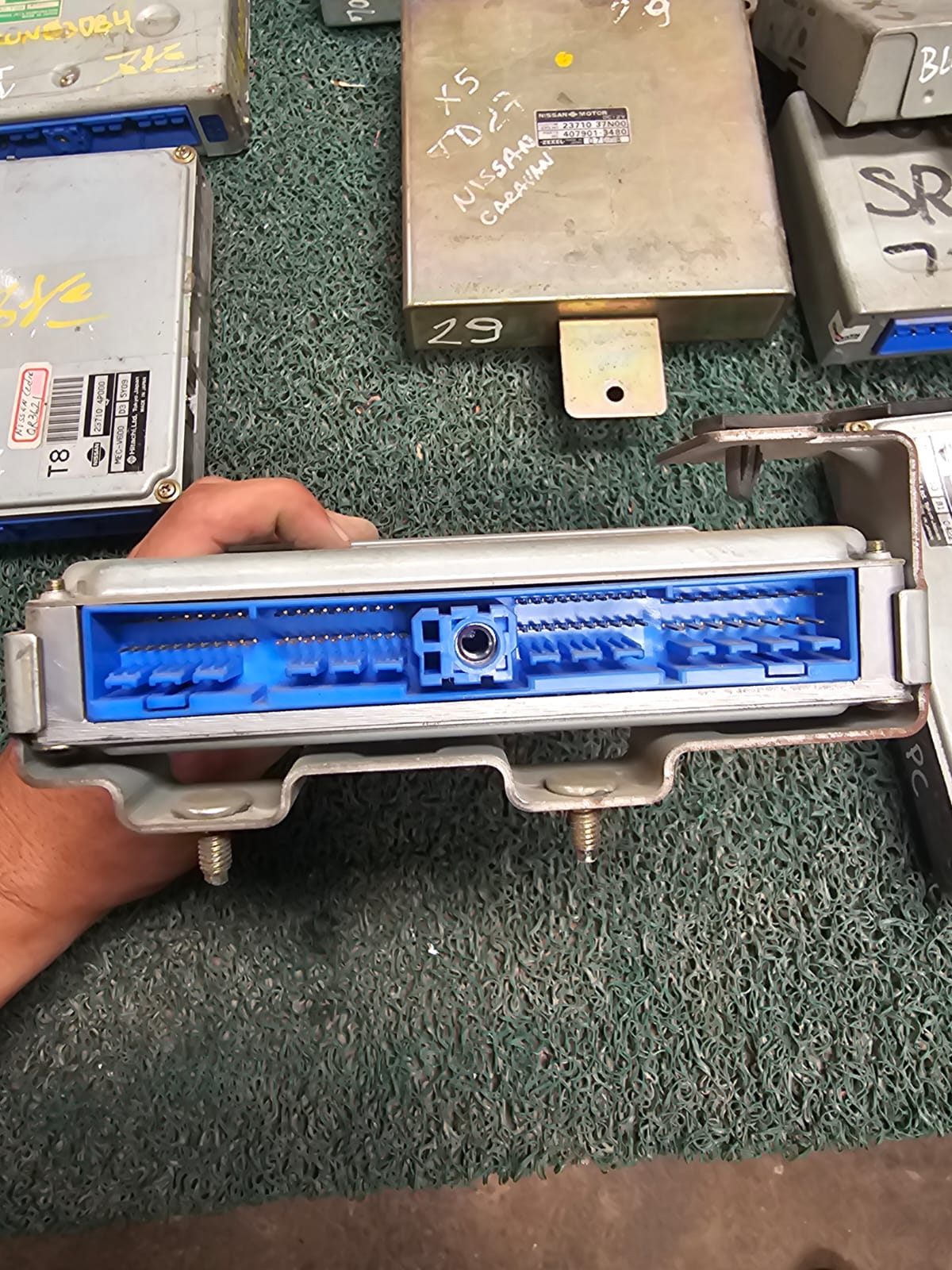 Cerebro Terrano VG33 F8